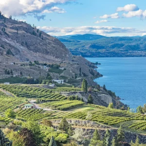 87590320 ogopogo scaled.jpg