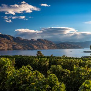 city kelowna